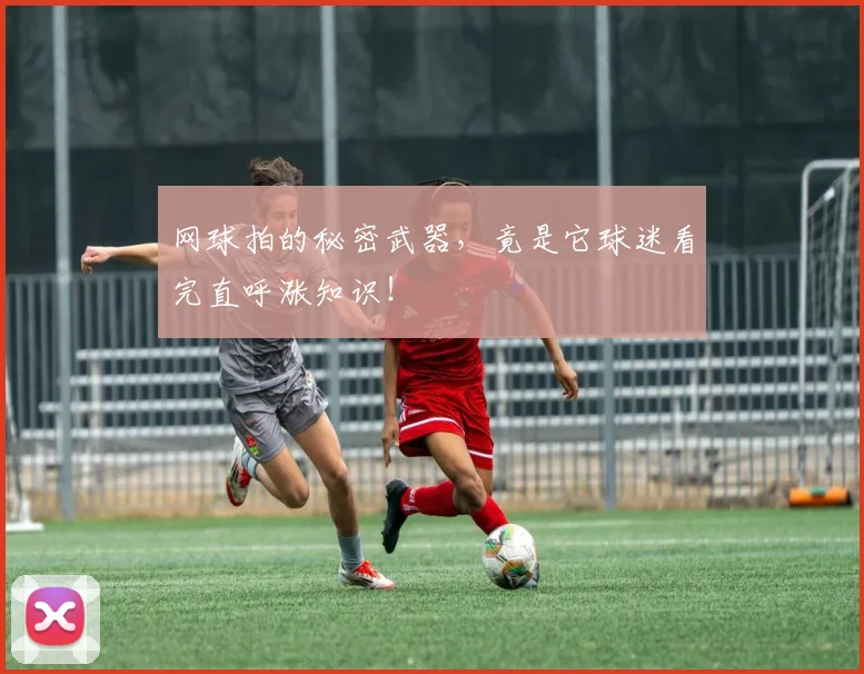 网球拍的秘密武器,竟是它球迷看完直呼涨知识!
